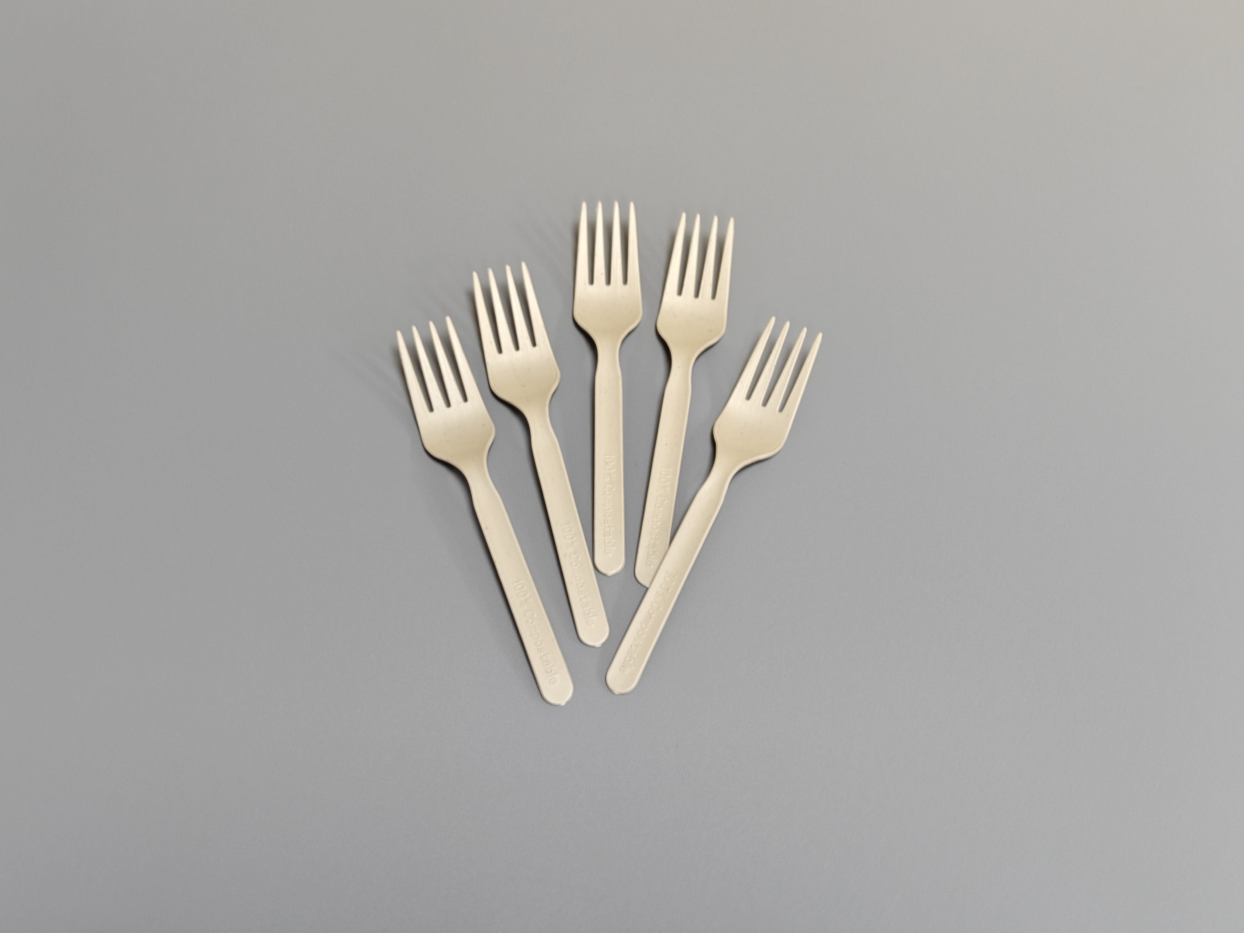 XF-5 inch  Fork