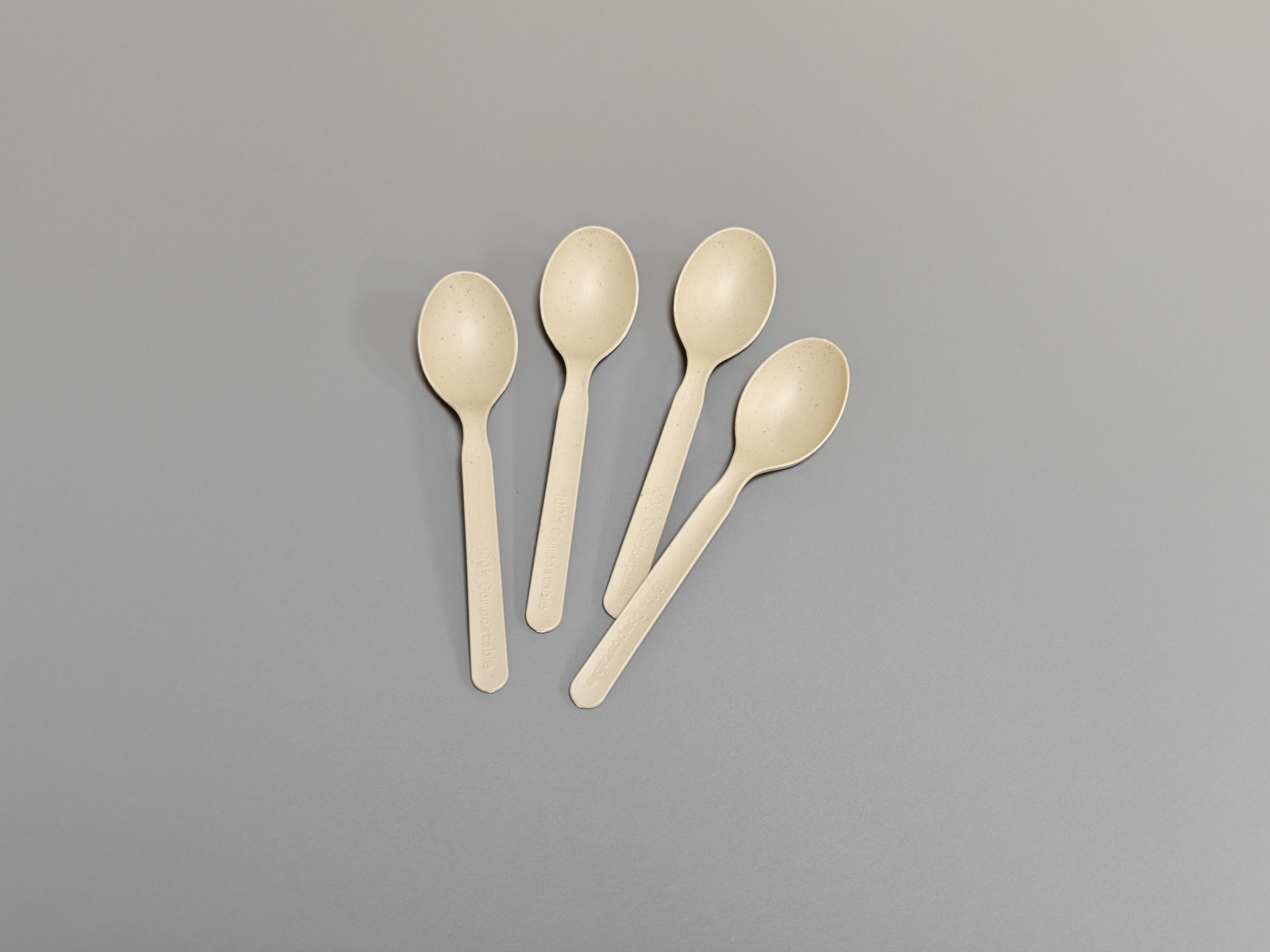 XF- 5 inch Spoon